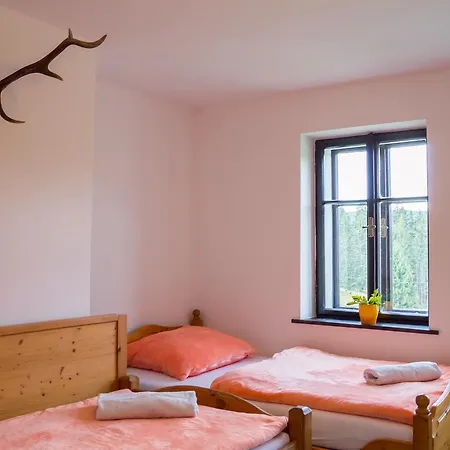 公寓 Apartment-chalet-chaloupka U Trnku