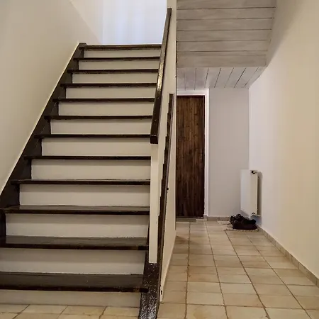 Apartment-chalet-chaloupka U Trnku 金日瓦特矿泉镇
