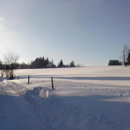 公寓 Apartment-chalet-chaloupka U Trnku *