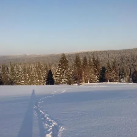 公寓 Apartment-chalet-chaloupka U Trnku