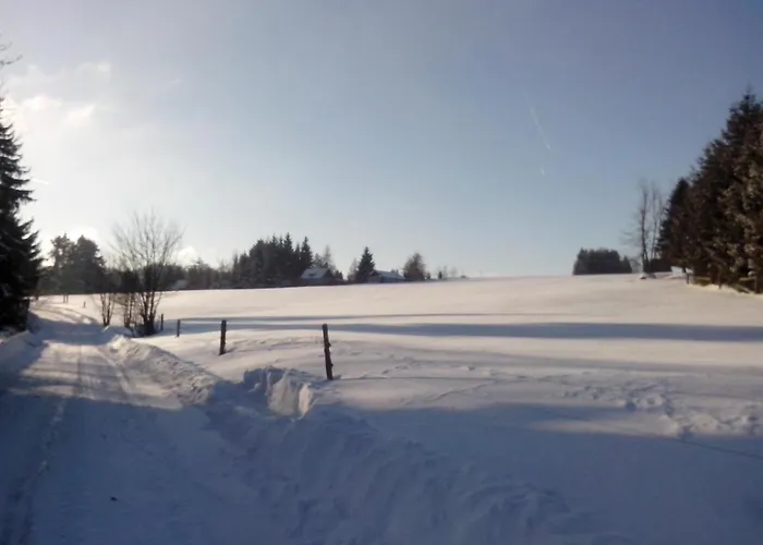 Apartment Apartment-chalet-chaloupka U Trnku *