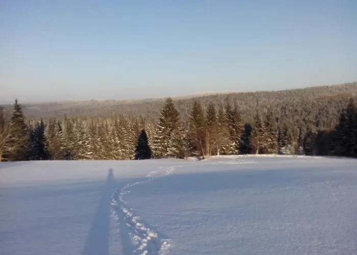 Apartment Apartment-chalet-chaloupka U Trnku